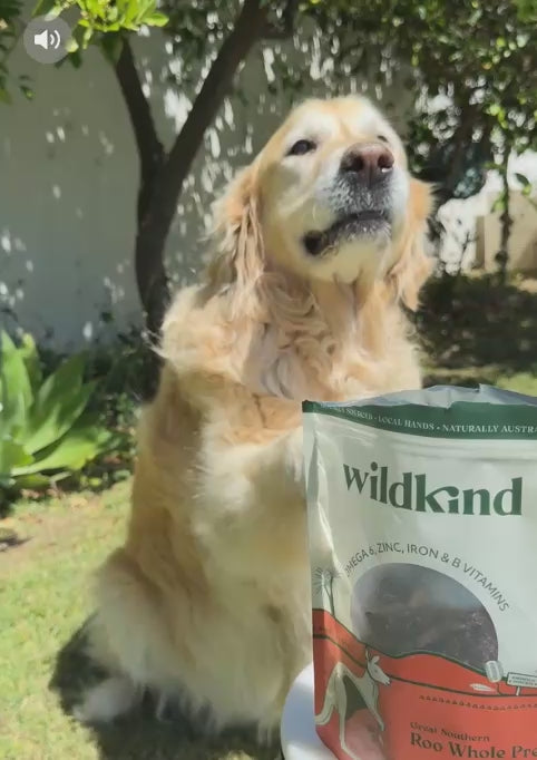 Wildkind Great Southern Roo Jerky 100g