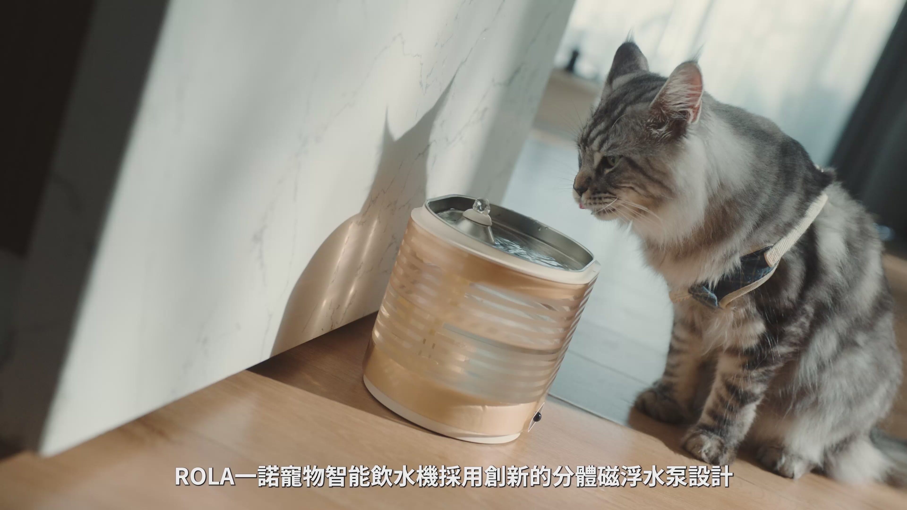 ROLA Smart Water Fountain 智能水機