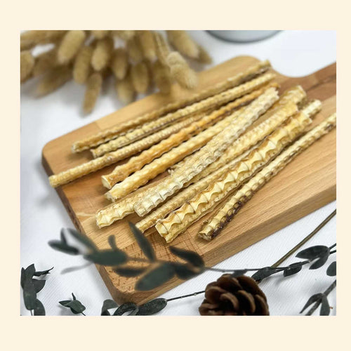 Pet Pack 天然潔齒42系列 Shark Cartilage 鯊魚骨