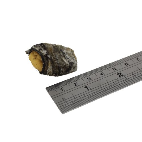 Fish4Dogs 海洋之星 - 天然風乾小食