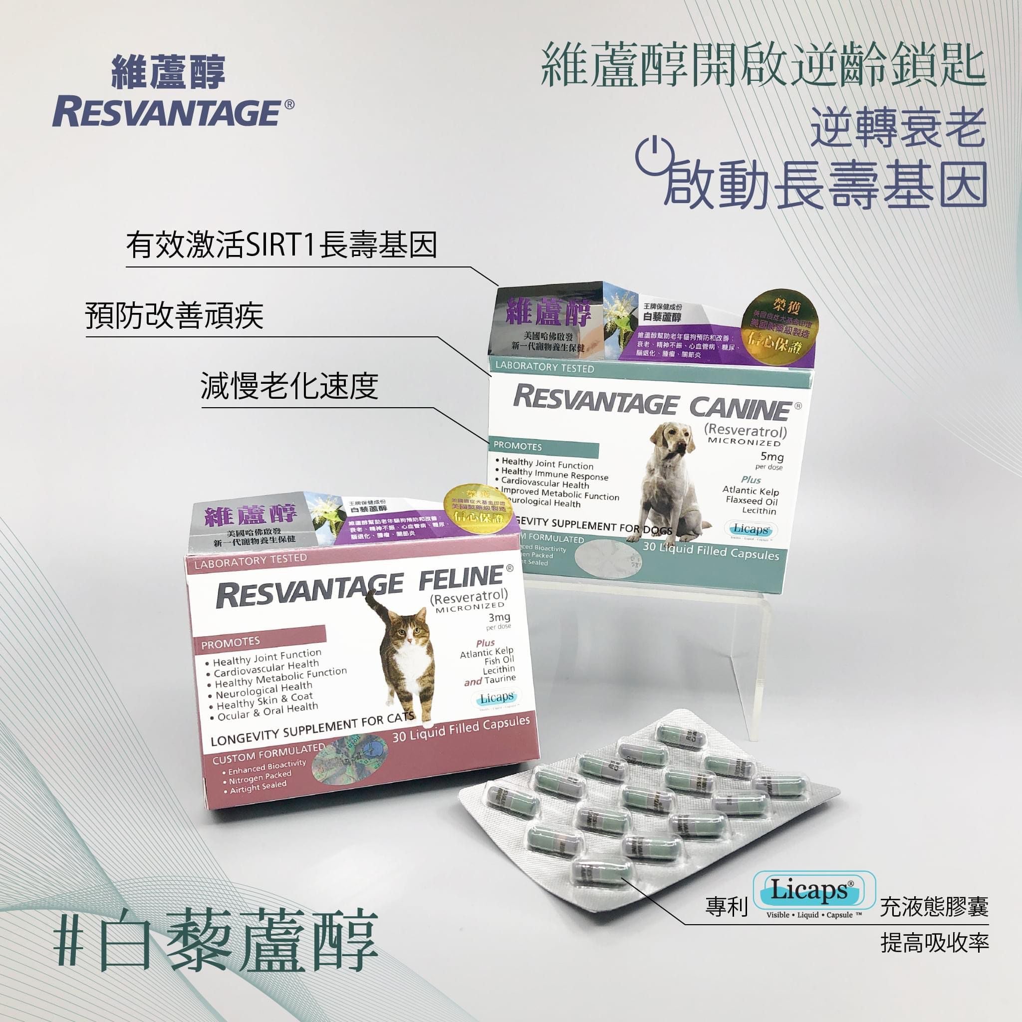 Resvantage® 白藜蘆醇犬用保健品 30粒 - 幸福站