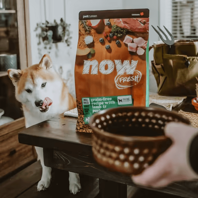 NOW FRESH™ Grain Free 無穀物紅肉狗糧 - 小型成犬