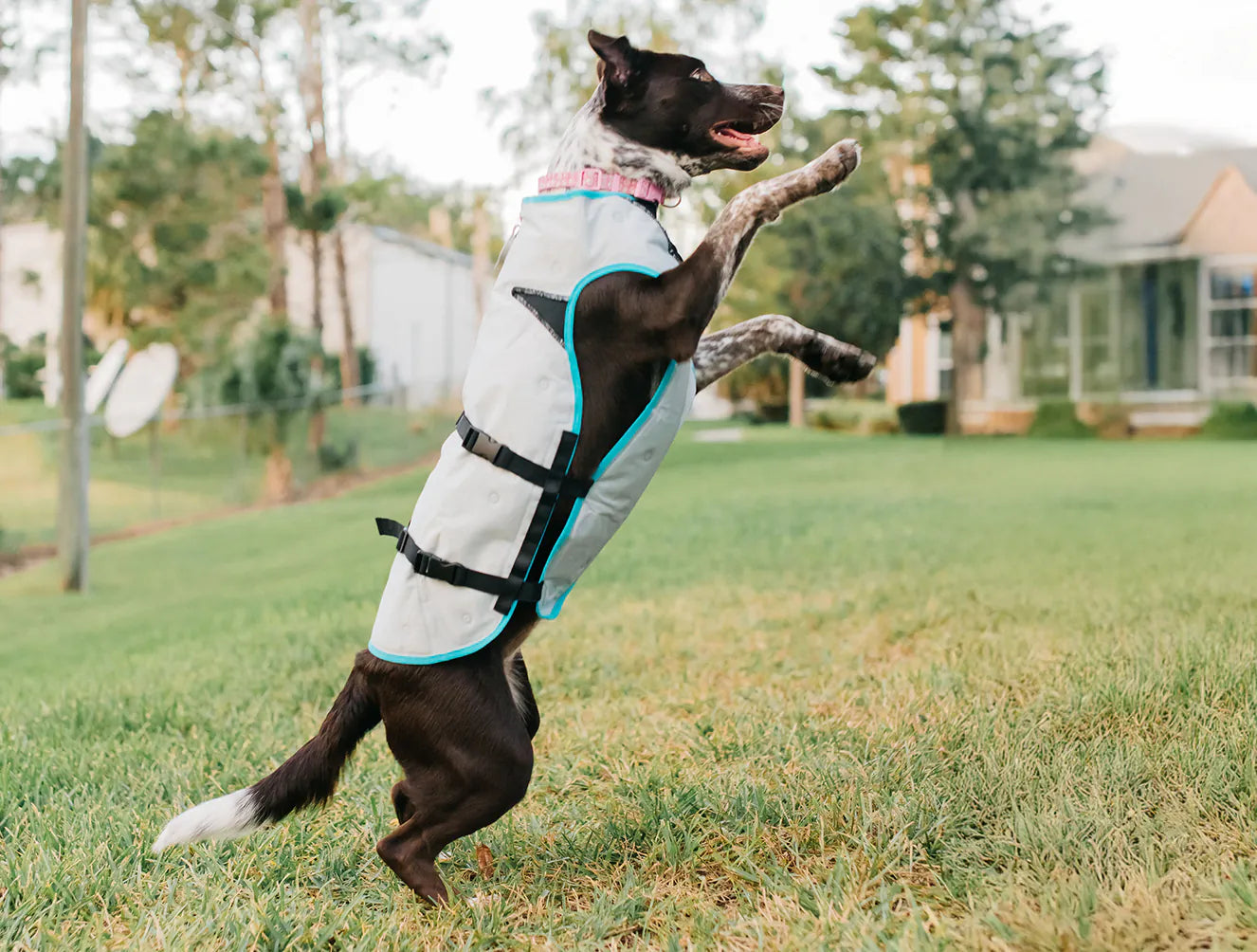 Suitical Dry Cooling Vest (降溫涼感背心)