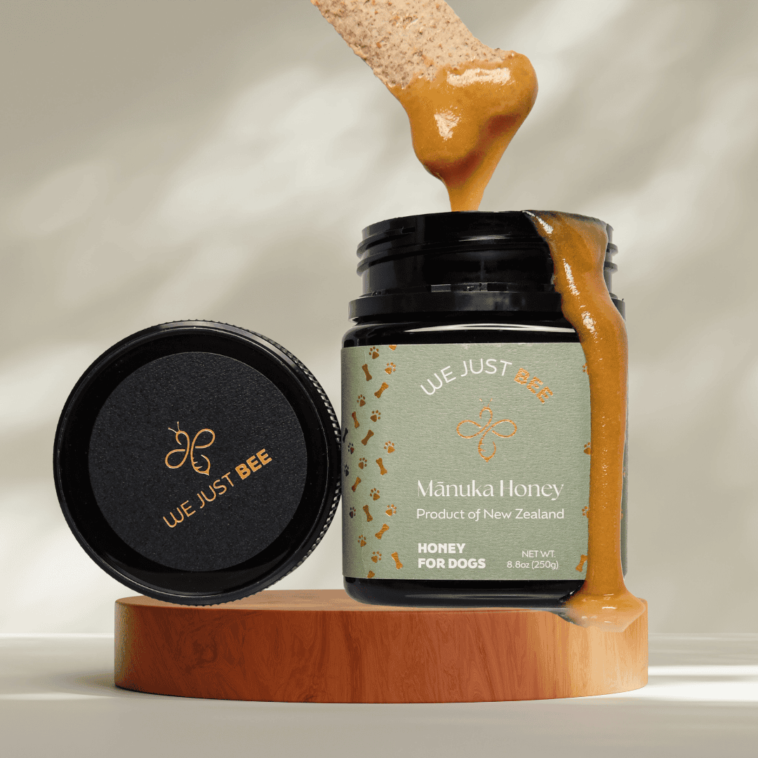 We Just Bee Manuka Honey MGO250+ for Dogs 250g