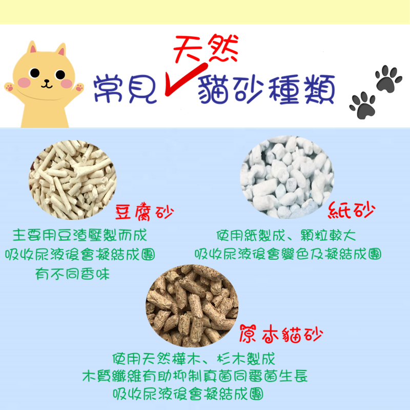 常見天然貓砂種類 Forever Pets 寵物健康工房